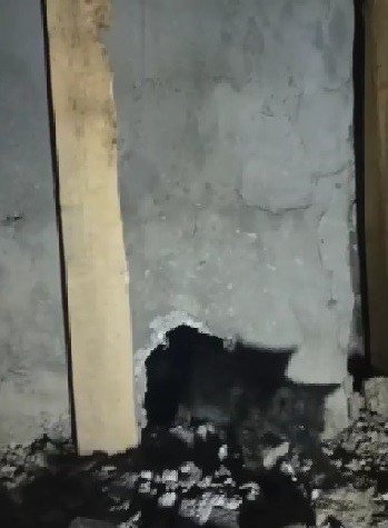 Bacada Mahsur Kalan Kediyi İtfaiye Ekipleri Kurtardı