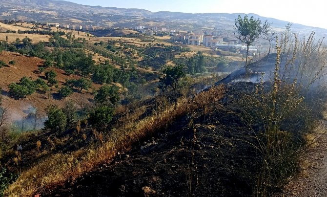 Piknikçiler Yangına Neden Oldu