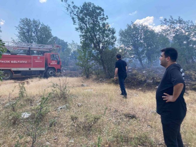 Sincik’te Ormanlık Alandı Yangın