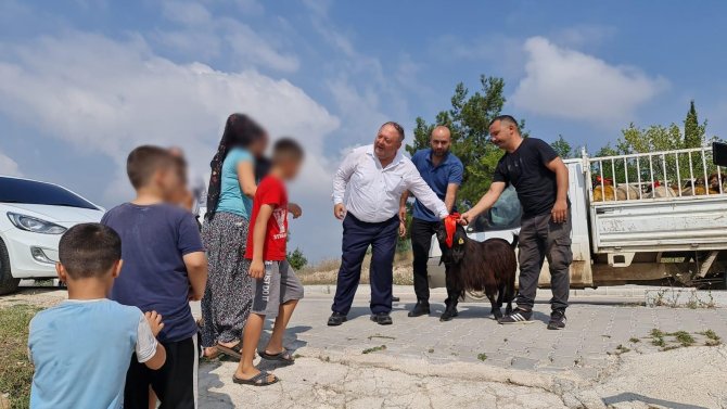 Kadirli’de İhtiyaç Sahibi Ailelere Kurbanlık Dağıtıldı