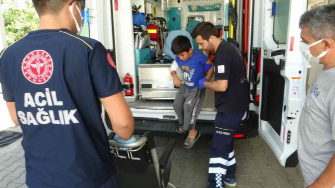 Muğla’da Çocuğa Köpek Saldırısı