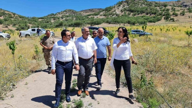 Kaymakam Aydoğan Koza Hasadına Katıldı