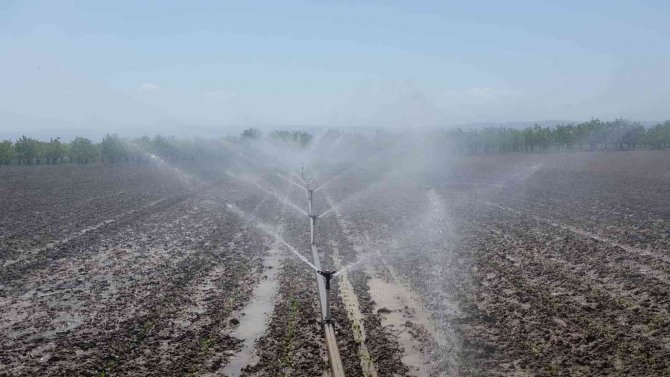 Bursa Ekonomisine Sulama İle Katkı