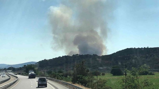 İ̇zmir’de Otluk Alanda Yangın