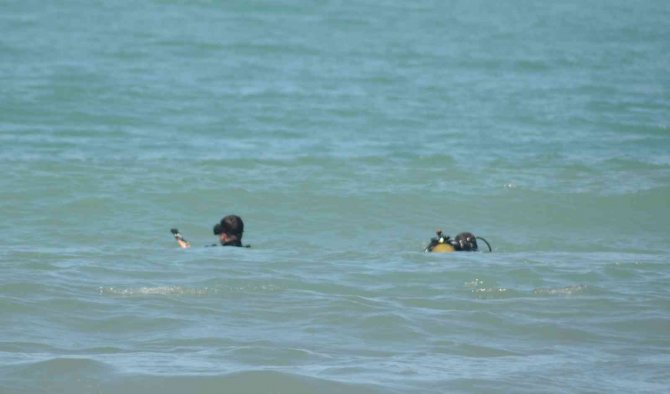 Denizde Kaybolan Yabancı Uyruklu Şahsın Arama Çalışmaları Sürüyor