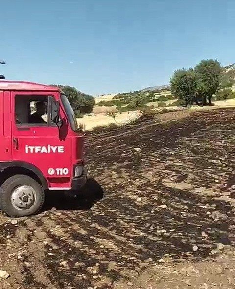 Anız Yangınında Ağaçlar Zarar Gördü
