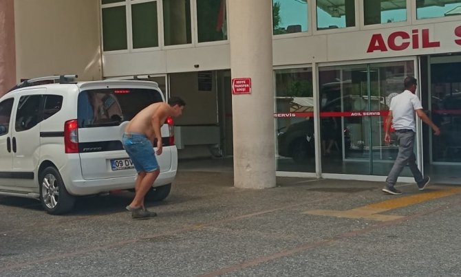 Aydın’da Acemi Kasapların Bayram Bilançosu