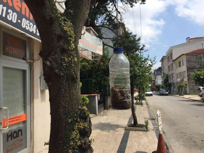 Hayvansever Esnafın Pet Şişeden Yaptığı Yemliklerle Kuşlar Besleniyor