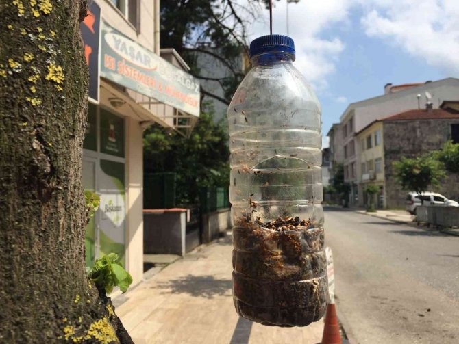 Hayvansever Esnafın Pet Şişeden Yaptığı Yemliklerle Kuşlar Besleniyor