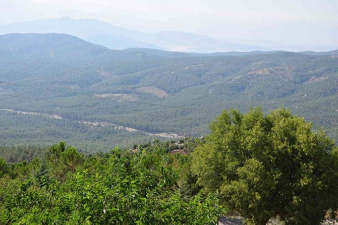 Yeşil Vatan Nöbeti Devam Ediyor.