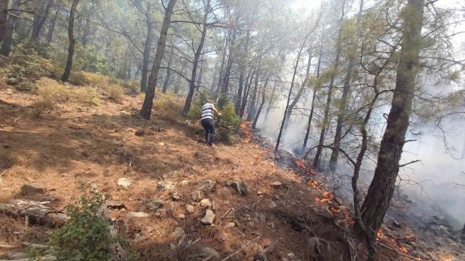 Datça’daki Orman Yangınına Kolluk Kuvvetleri De Müdahale Etti
