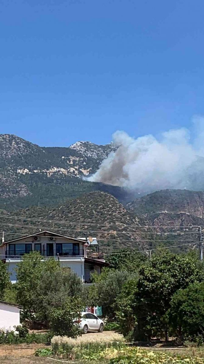 Datça’da Orman Yangını