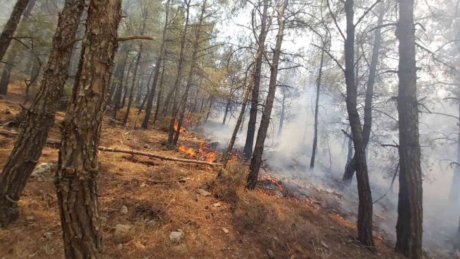 Datça’daki Orman Yangınına Havadan Ve Karadan Müdahale Sürüyor