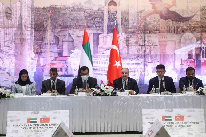 Bae İle İlişkilerde Yeni Dönem: Yeni Yatırımlar Ve Ekonomik İşbirlikleri Hedefleniyor