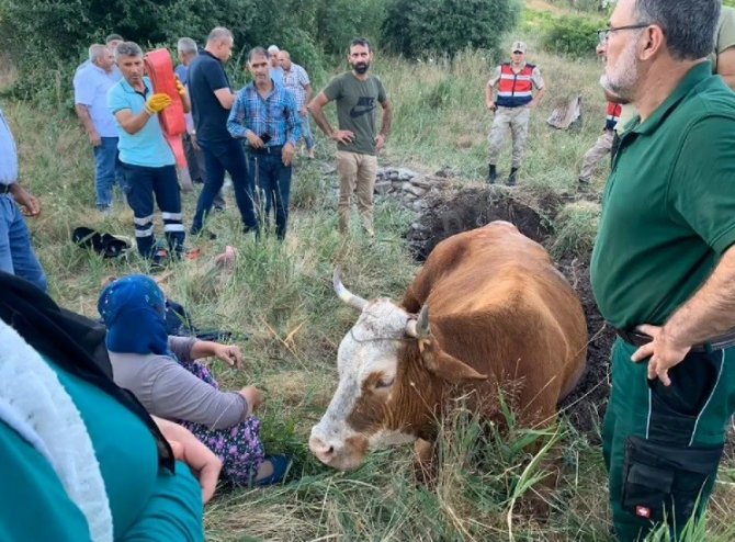 Su Kuyusuna Düşen İnek, 40 Dakikalık Çalışmayla Kurtarıldı