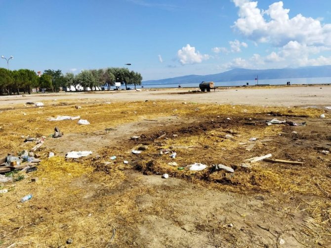 Mudanya’da Karasineğin Sebebi İhmal