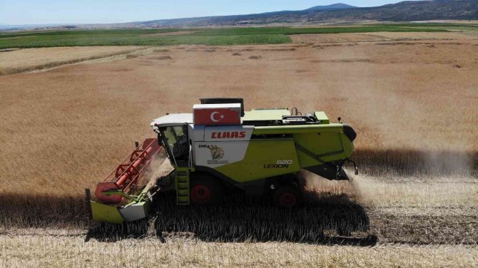 Kanolada İlk Deneme Yüz Güldürdü