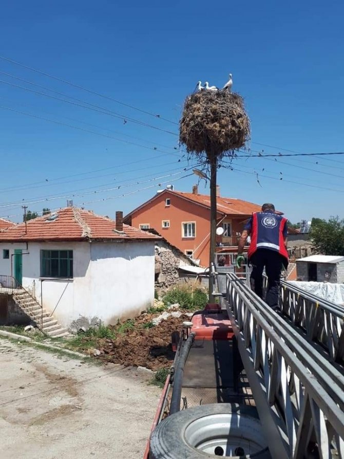 Yaralı Leylek İçin İtfaiye Ve Köylüler Seferber Oldu