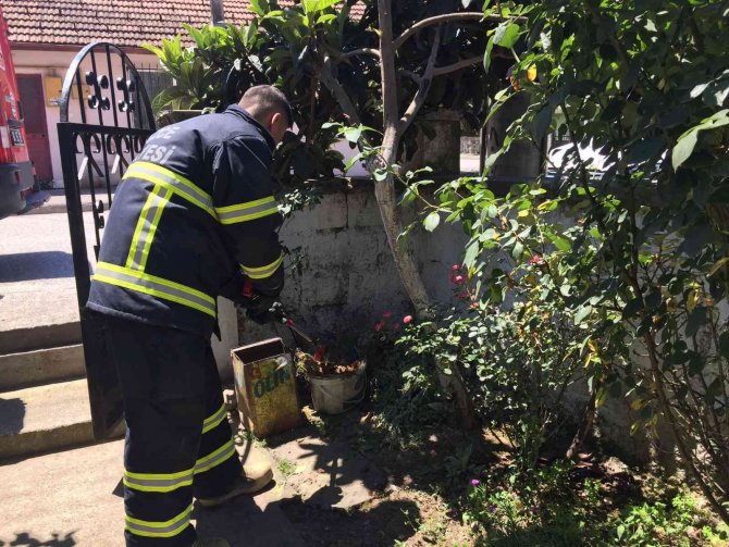 Kadınların Yılan İhbarı İtfaiyeyi Harekete Geçirdi