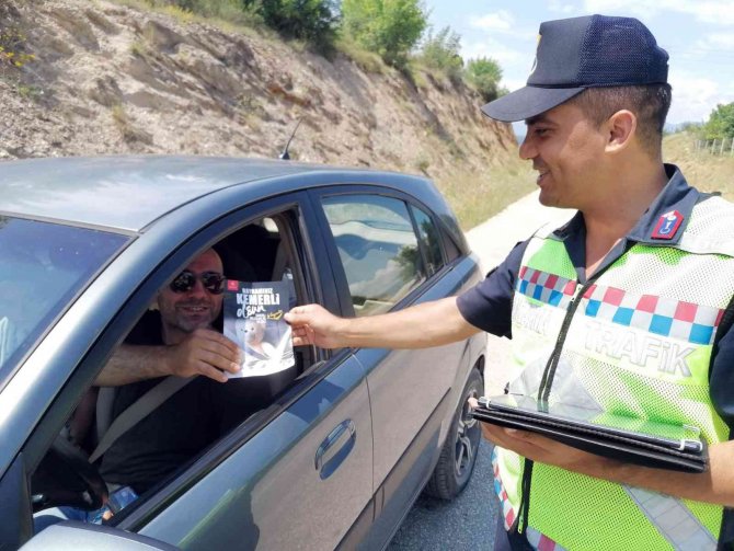 Sinop’a Kurban Bayramı’nda 281 Bin Araç Girdi
