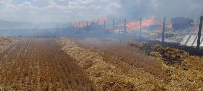 Saman Balyaları Alev Alev Yandı, Tarım Deposu Kül Oldu