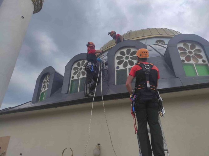 Cami Kubbesindeki Yuvadan Düşen Yavru Leyleğe Müthiş Kurtarma