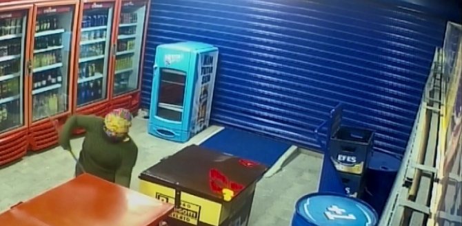 At Arabasıyla Gelip Dolaptaki Tüm Dondurmaları Çaldılar