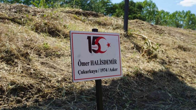 15 Temmuz Şehitleri Anısına Dikilen 251 Fidan Ve Ağaca Bakım Yapıldı