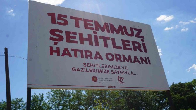 15 Temmuz Şehitleri Anısına Dikilen 251 Fidan Ve Ağaca Bakım Yapıldı