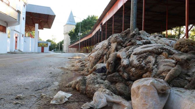 Kurban Derileri Kırkpınar Er Meydanı’nda Kokmaya Başladı