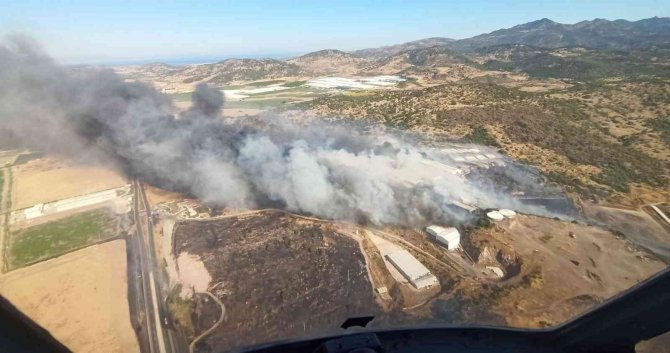 Bergama’da Otluk Alanda Yangın