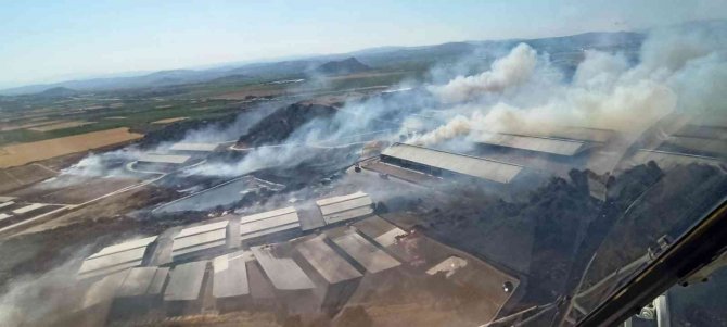 Bergama’da Otluk Alanda Yangın