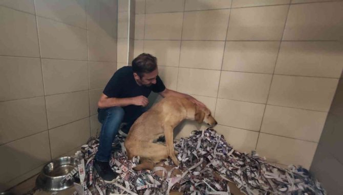 Yürek Yakan Bu Duruma Seyirci Kalmadılar