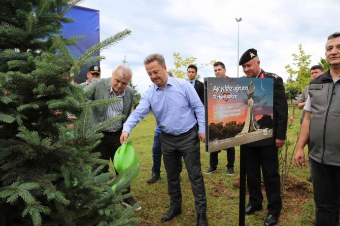 Giresun’da, 15 Temmuz Şehitleri Anısına Fidan Dikilip, Dağıtıldı