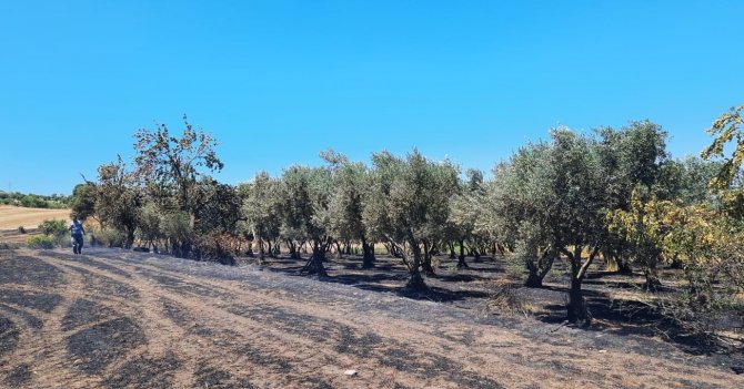 Gönen’de Arazi Yangını