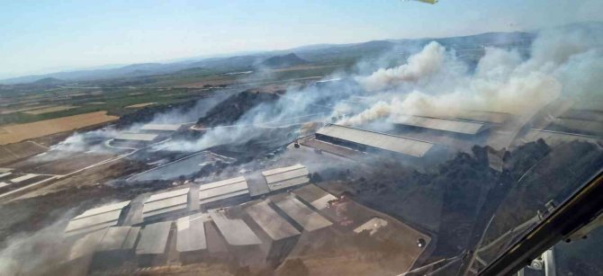 Bergama’daki Yangın Süt İşletme Tesisine Sıçradı, Ekipler Alarmda