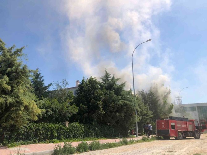 Karaman İ̇l Sağlık Müdürlüğü Bahçesinde Korkutan Yangın