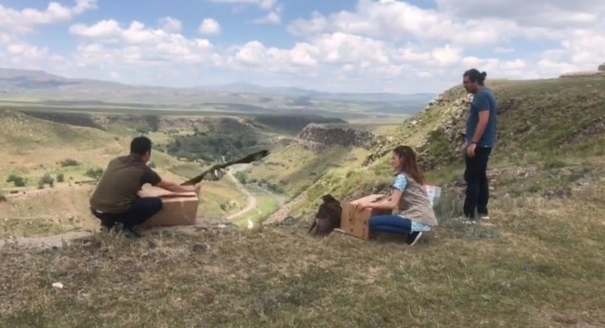 Kars’ta Kızıl Şahinler Doğaya Bırakıldı
