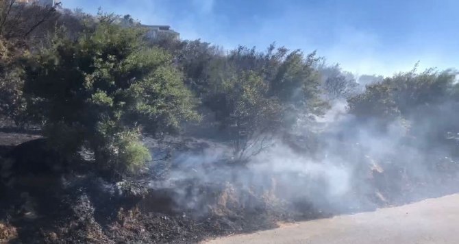 Maltepe’de Otluk Alanda Yangın Çıktı. İ̇tfaiye Ekiplerinin Yangına Müdahalesi Sürüyor.