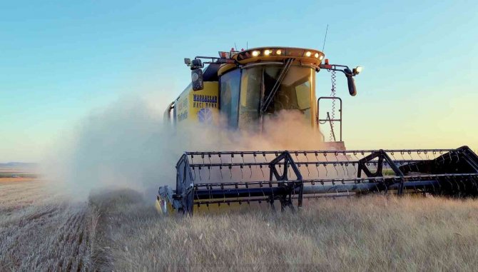 Mazıdağı’nda Buğday Hasadına Devam Eden Çiftçi, Verimden Şikayetçi