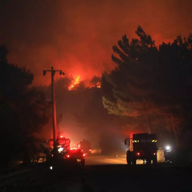 Datça’daki Orman Yangınından 17 Konut Olumsuz Etkilendi