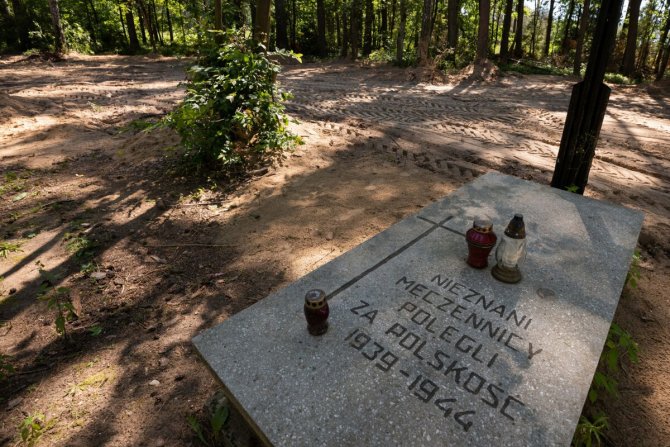 Polonya’da Nazi Kurbanı 8 Bin Kişinin Külleri Bulundu
