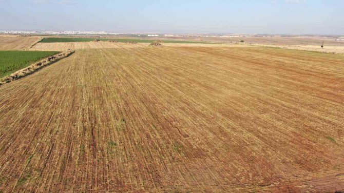 10 Yıldır Anız Yakmadan Ürün Ekiyor