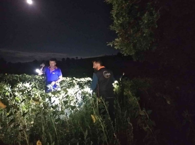 Hayatından Endişe Ediliyordu, Komşunun Bahçesinde Uyurken Bulundu