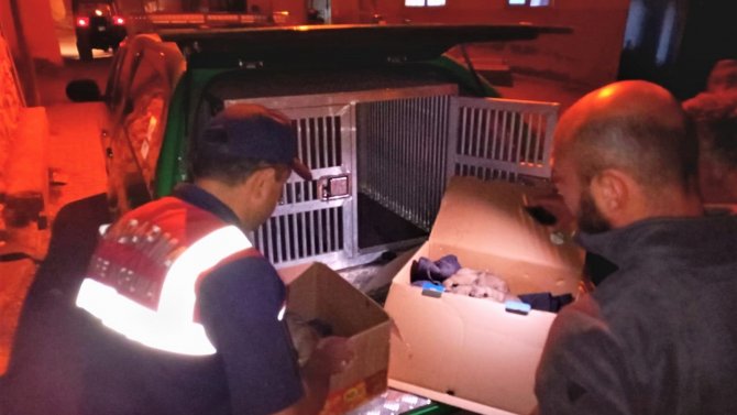 Çuval İçerisine Konularak Ölüme Terk Edildiler