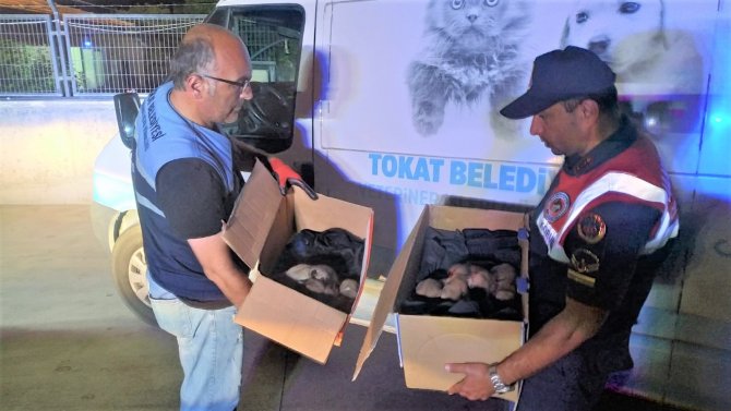 Çuval İçerisine Konularak Ölüme Terk Edildiler
