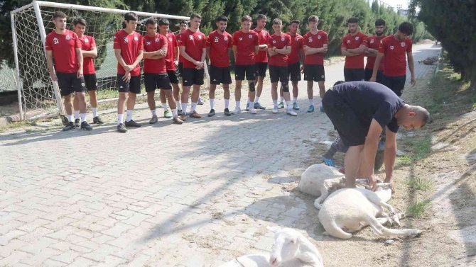 Turgutluspor’da Yeni Sezon Hazırlıkları Başladı