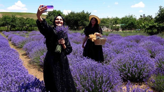 Yozgat’ta Lavanta Bahçesi Doğal Stüdyo Alanına Döndü