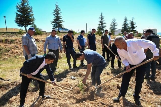 Tufanbeyli’de 15 Temmuz’da Fidanlar Toprakla Buluştu