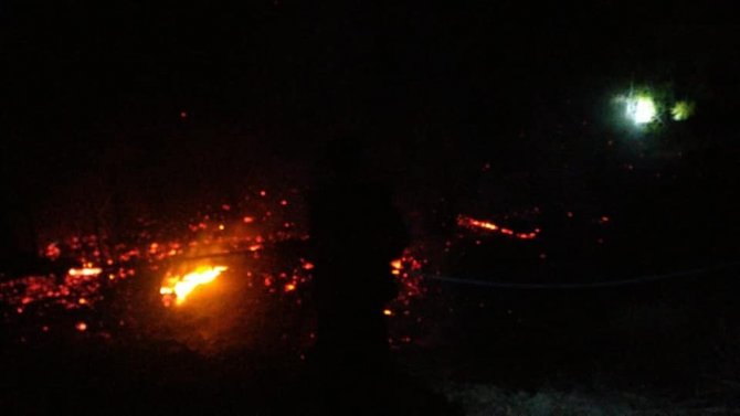 Feke’deki Orman Yangınları Söndürüldü